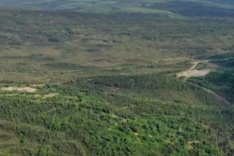 Banyan Gold Corp. sigue intersectando mineralización de oro de alta calidad en la pista de aterrizaje, Yukón, Canadá