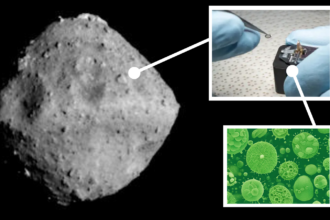 Bases del ADN halladas en asteroide Ryugu refuerzan hipótesis sobre origen de la vida