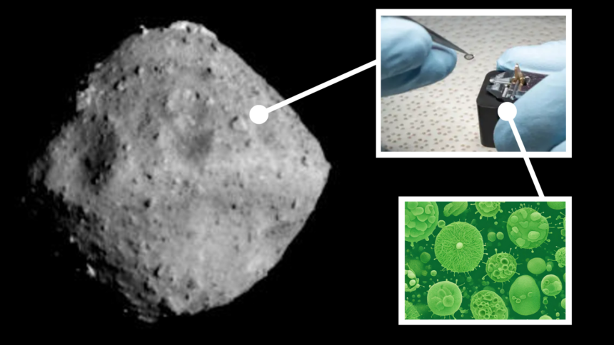 Bases del ADN halladas en asteroide Ryugu refuerzan hipótesis sobre origen de la vida