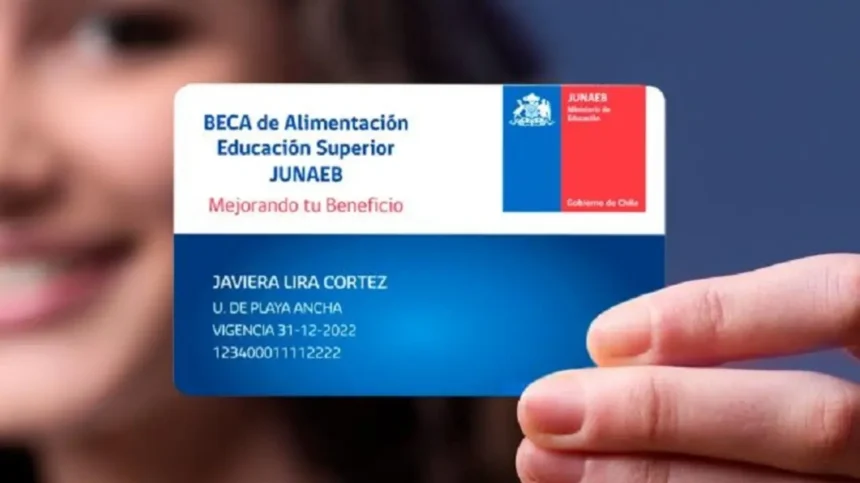 Beca BAES: ¿En qué se puede gastar el saldo de la tarjeta Junaeb?
