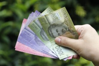 Beneficios Estatales 2025: Guía Completa de Pagos y Nuevos Bonos para el Segundo Semestre