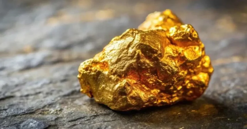 Benz Mining reporta 7 metros con 223 g/t de oro en Mt Egerton y confirma nuevo hallazgo de alta ley bajo la mina Hibernian