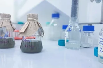 Biominería: 3 vías para sacar más níquel y cobre de relaves y minas agotadas