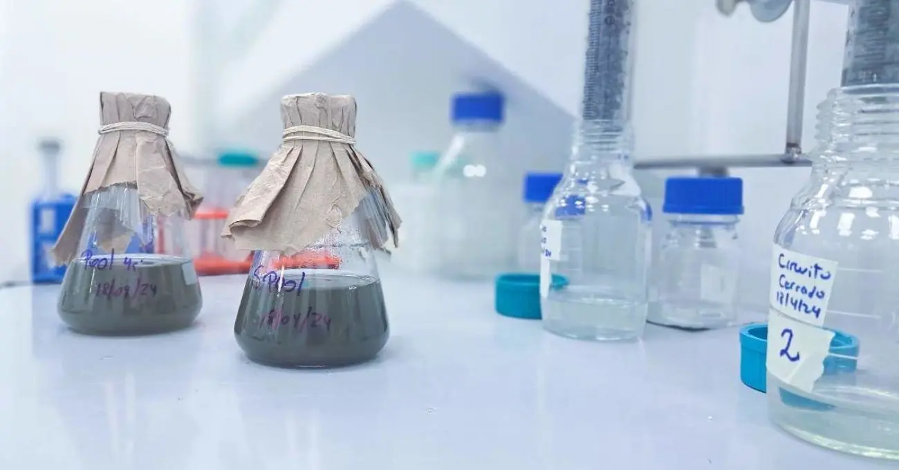Biominería: 3 vías para sacar más níquel y cobre de relaves y minas agotadas