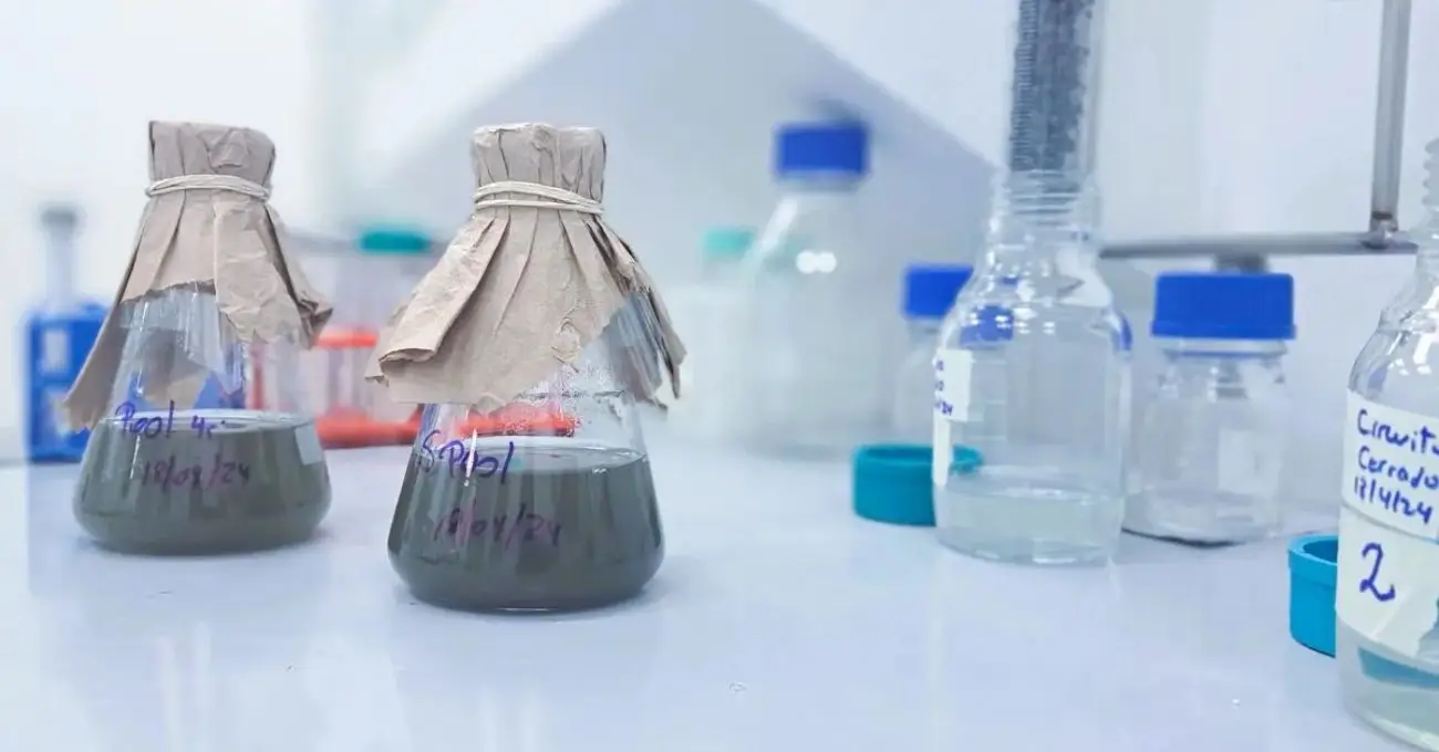 Biotecnología chilena convierte relaves en fuente de cobalto y proyecta a Chile como potencia mundial