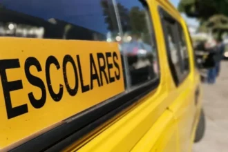Bono combustibles: Gobierno suma a furgones escolares con aporte de $100 mil por seis meses