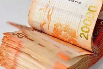 Bono Cuarto Medio: revisa si puedes recibir el pago automático de $73.048