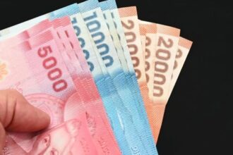 Bono de Formalización Laboral $292.000: consulta con tu RUT si el IPS te lo entrega