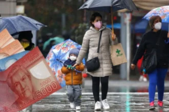 Bono de Invierno 2026: $81.257 en un solo pago y sin postulación