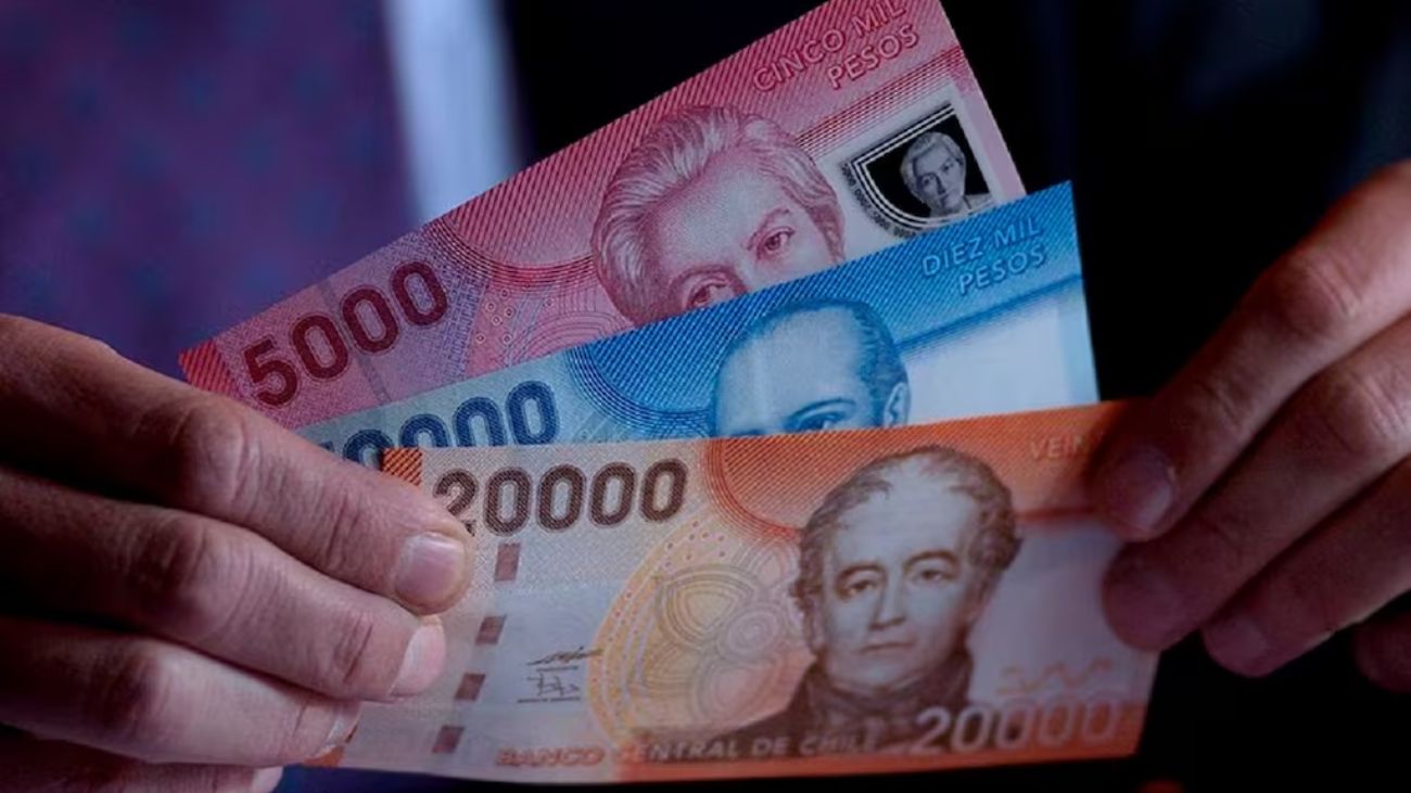 Bono de Protección 2025: Apoyo Financiero Clave para Mujeres Vulnerables en Chile