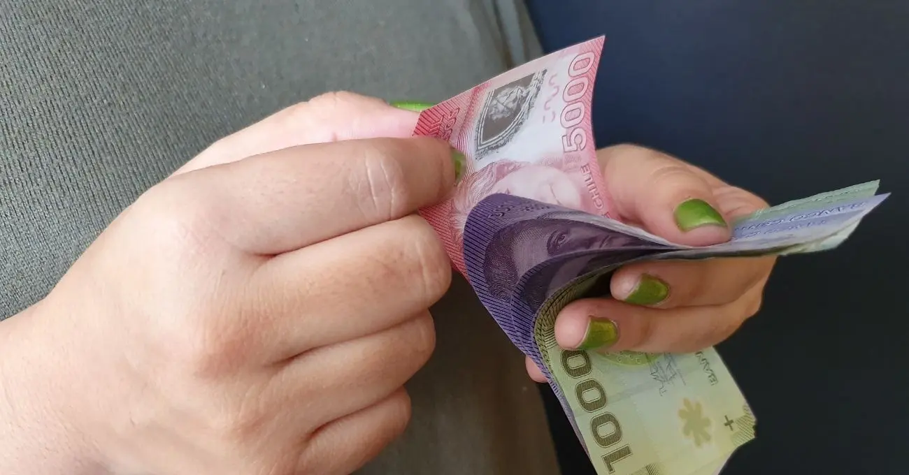 Bono de Protección en Chile: ¿Quiénes son beneficiarios y cómo funciona?