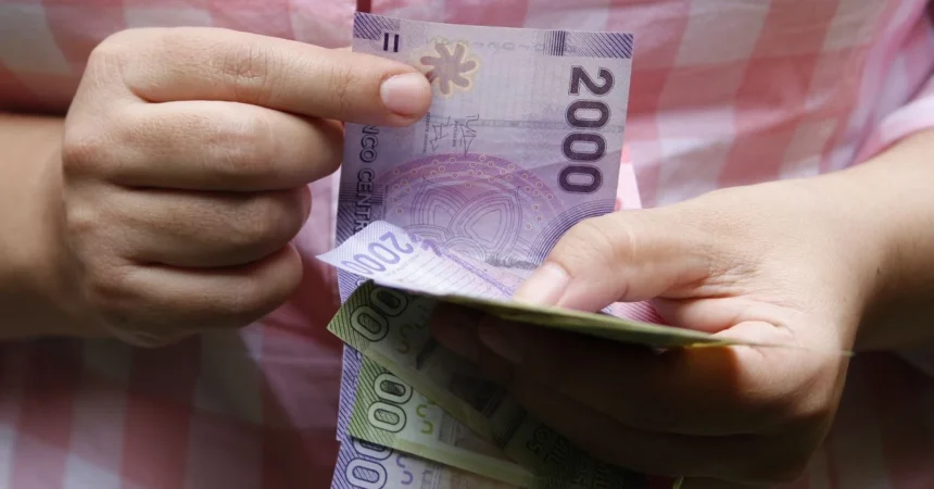 Esto Debes Hacer si No Recibiste el Bono Invierno 2026