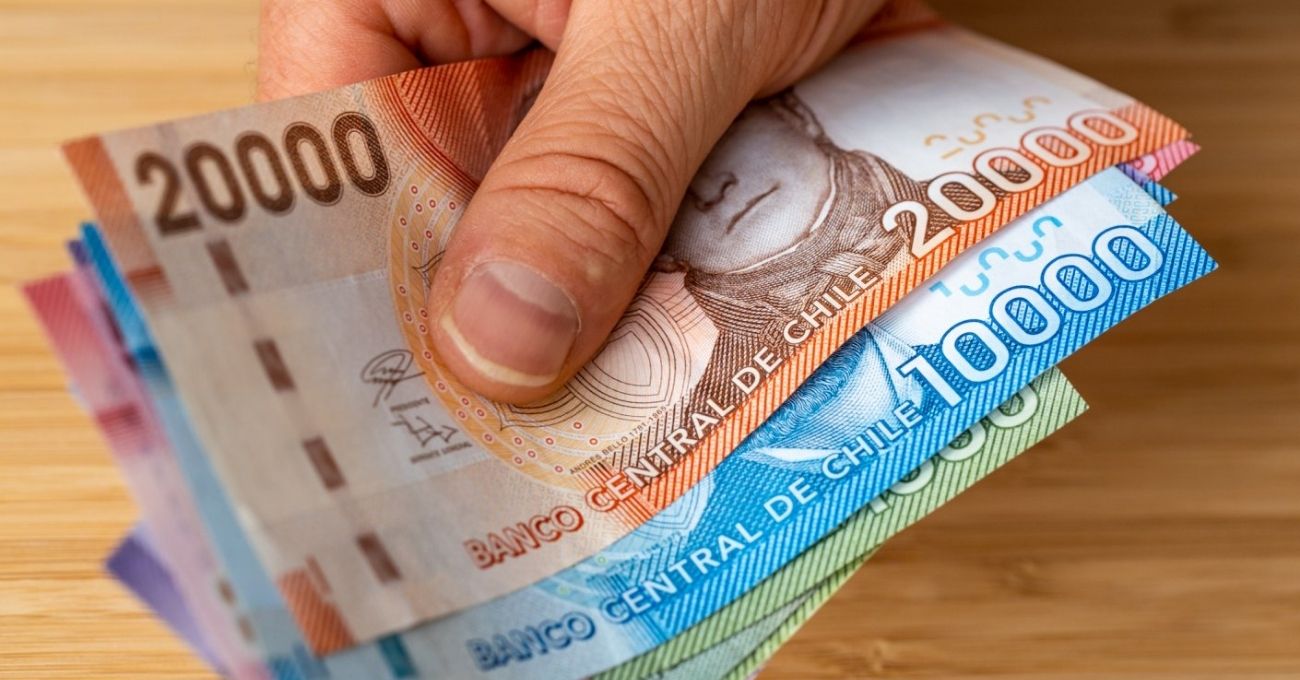 Bono Invierno 2025: Revisa si recibirás los $81.257 sin postular ni hacer trámites