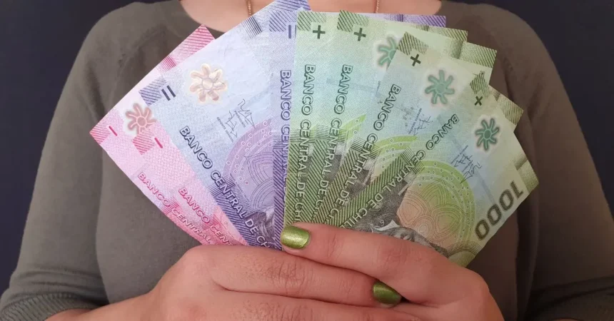 Bono Invierno 2026: pago llegará a $81.257 y se entregará junto a la pensión de mayo