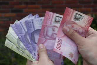 Bono Mujer Trabajadora 2025: cómo postular al pago de $44.000 en mayo