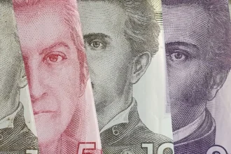 Bonos y beneficios del Estado: 39 ayudas y trámites que puedes revisar en ChileAtiende, IPS y Capredena
