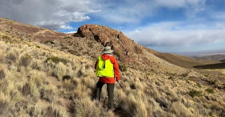 Bolivia ofrece estabilidad contractual y alivio fiscal para atraer inversiones mineras