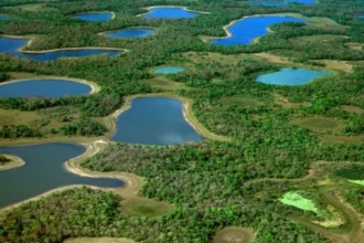 Brasil amplía áreas protegidas en el Pantanal para combatir cambio climático y conservar biodiversidad