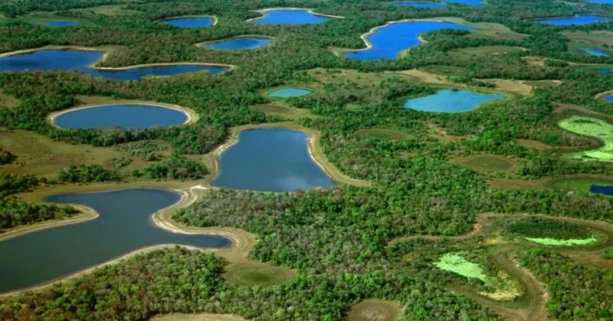 Brasil amplía áreas protegidas en el Pantanal para combatir cambio climático y conservar biodiversidad