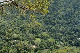 C3 Metals intercepta amplias zonas de mineralización de oro en los primeros pozos de perforación en el proyecto Super Block, Jamaica