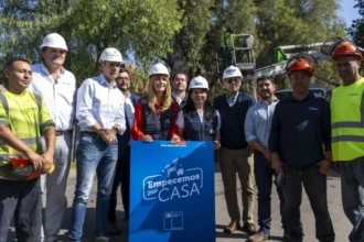 Campaña “Empecemos por Casa” busca reducir cortes de luz en invierno: 30% se asocia a ramas y árboles