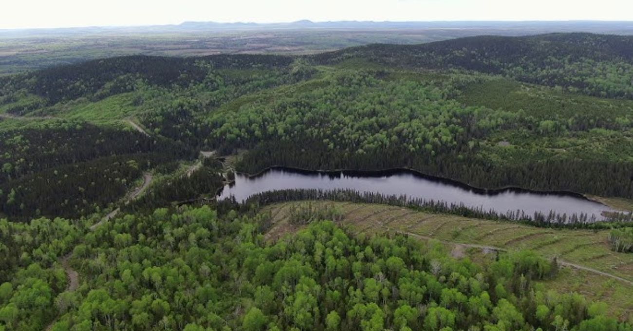Canadian Gold Resource Ltd. expande su propiedad en Lac Arsenault