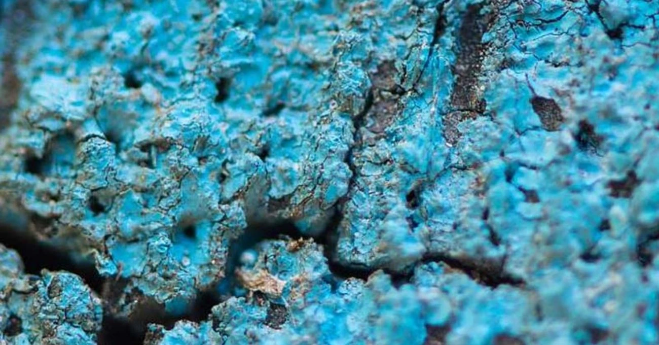 Chile apuesta por el cobalto en minería sustentable y transición energética global
