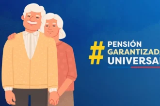 PGU: ¿Quiénes reciben el monto máximo de más de $250 mil?