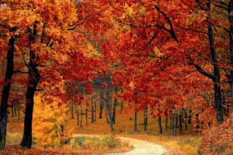 Chile da la bienvenida al otoño con equinoccio y cambio al horario de invierno