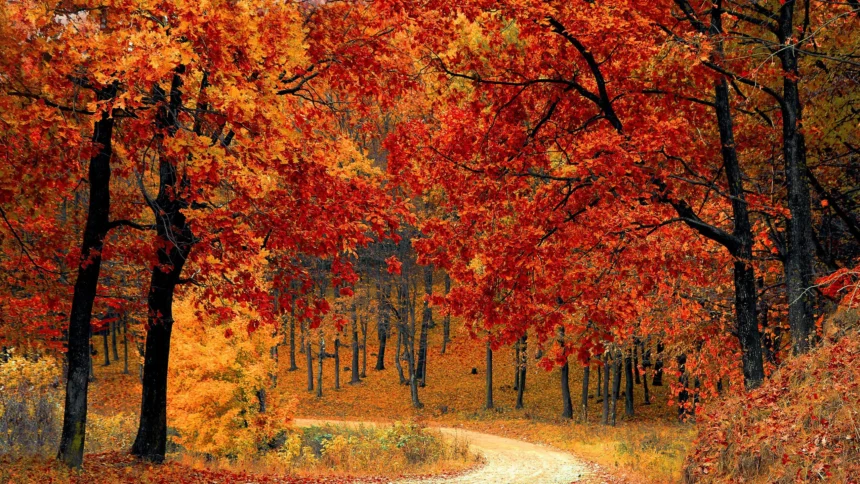 Chile da la bienvenida al otoño con equinoccio y cambio al horario de invierno