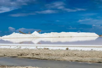 Chile liderará delegación que visitará salares de Atacama, Uyuni y Olaroz