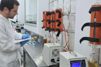 Chile patenta microorganismos que extraen cobalto de relaves y busca convertirse en segundo productor mundial