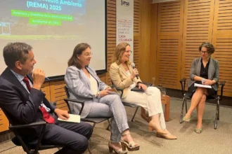 Chile presenta el REMA 2025: desafíos ambientales y acción climática en el foco