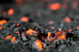 Chile se posiciona como pieza estratégica en la estrategia india para asegurar minerales críticos