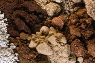 Chilean Cobalt acelera proyecto de tierras raras NeoRe y evalúa producción en hasta 12 meses