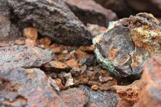 Chilean Cobalt Corp. firma un acuerdo vinculante de ingreso y opción para el proyecto de tierras raras Neore en el sur de Chile