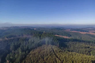 Chilean Cobalt en Biobío: 426 metros perforados y la señal que podría acelerar un nuevo distrito de tierras raras