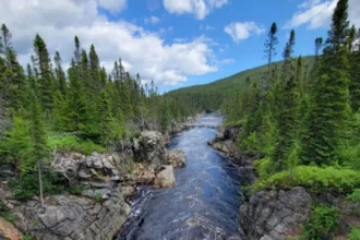 Churchill Resources intersecta un 7,25% de antimonio a lo largo de 1,98 m cerca del pozo sur a lo largo de la despliegue de 800 m en Frost Cove