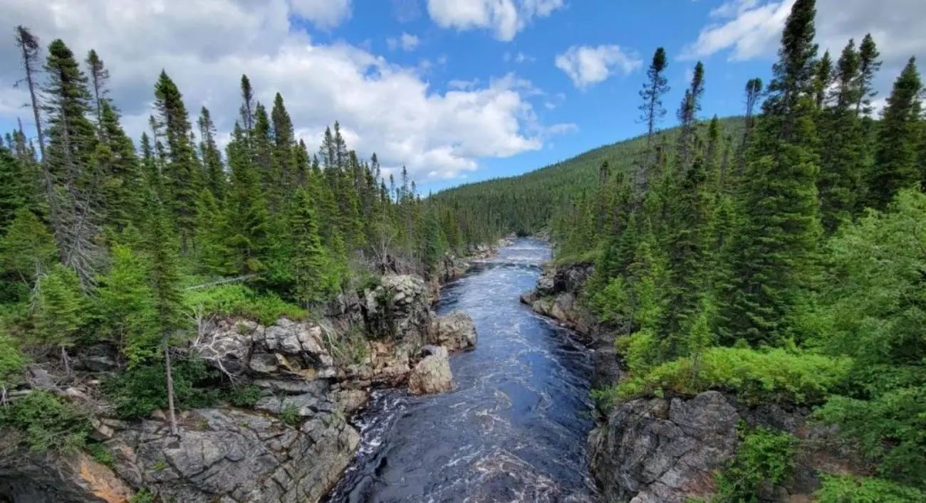 Churchill Resources intersecta un 7,25% de antimonio a lo largo de 1,98 m cerca del pozo sur a lo largo de la despliegue de 800 m en Frost Cove