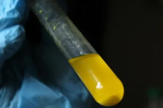 Científicos crean fluido que almacena energía solar como calor durante meses