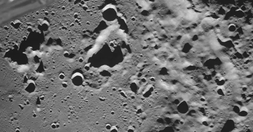 Científicos cultivan garbanzos en suelo lunar simulado: avance hacia colonización espacial
