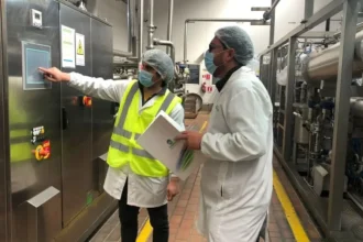 Cinco gremios industriales piden a ministra de Energía acotar el periodo de hora punta para reducir uso de diésel