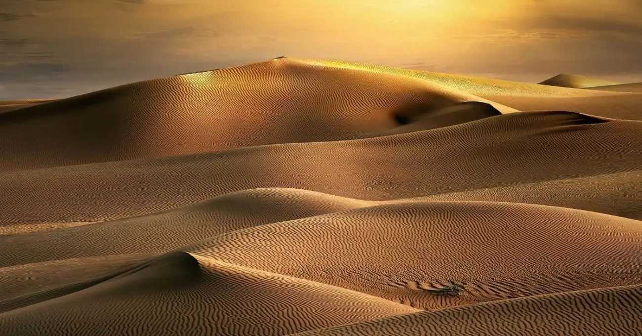 Cinturón de oro Nabita–Ad-Duwayhi: 24.000 km² bajo nuevas licencias y la jugada que reordena la minería saudita