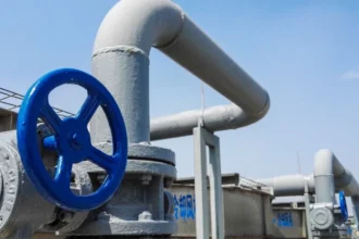 CNE abre licitación para estudio de costos del VAD de gas en Magallanes