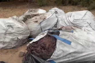 Cobre robado: PDI incauta 5 toneladas avaluadas en $50 millones en operativo en Paine
