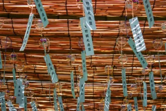 Cobre sube 3% semanal y toca máximos de tres semanas: qué hay detrás del repunte