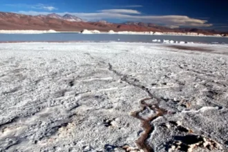 Codelco acelera su entrada en la industria del litio con proyecto Paloma