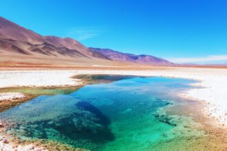 Codelco y SQM Avanzan en Proyecto de Litio en Atacama: Un Acuerdo Clave para el Desarrollo y Sostenibilidad en Chile
