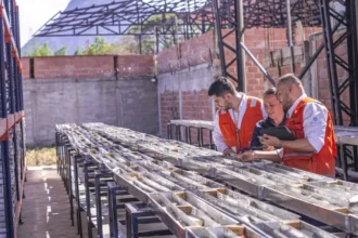 Collective Mining Ltd. amplía la superficie de Apollo perforando 31,70 metros @ 17,35 g/t AuEq dentro de 165,75 metros @ 5,35 g/t AuEq desde 8,85 metros
