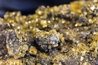 Colombia: Orosur Mining anuncia que el muestreo de El Cedro abre nuevos horizontes